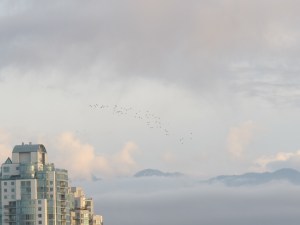 vancouver sky